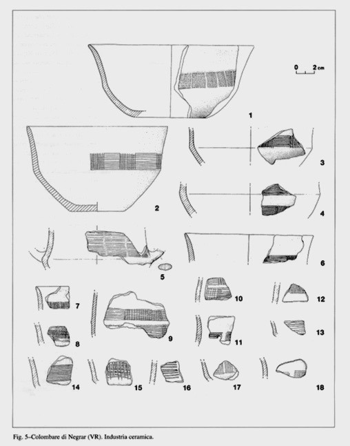 Disegni archeologici di recipienti e frammenti di ceramica provenienti dal sito delle Colombare di Villa.