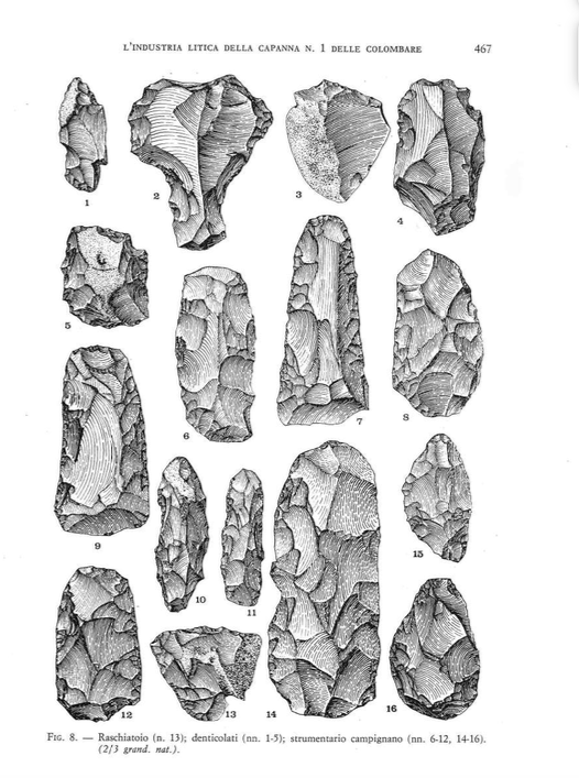 Tavola archeologica con disegni di strumenti in pietra scheggiata rinvenuti alle Colombare di Villa.