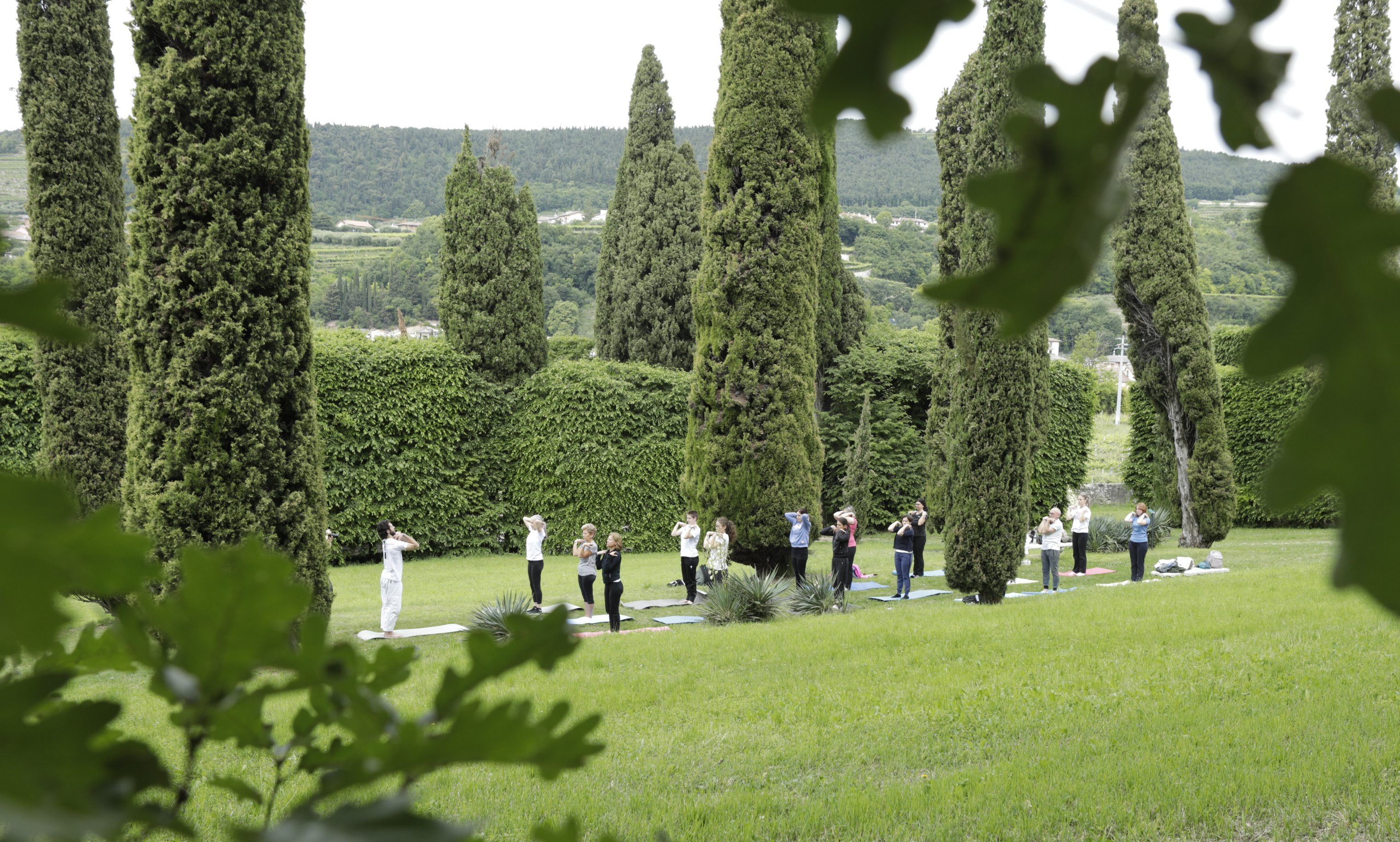 Gruppo di partecipanti durante una sessione di yoga e mindfulness nel suggestivo viale di cipressi del Giardino di Pojega. L'attività si svolge all'aperto, immersa nel verde e nella tranquillità del giardino storico della Valpolicella.