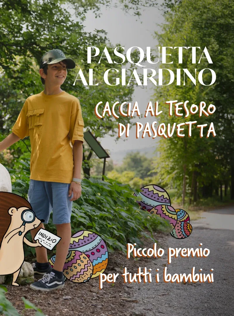 Card sito caccia al tesoro