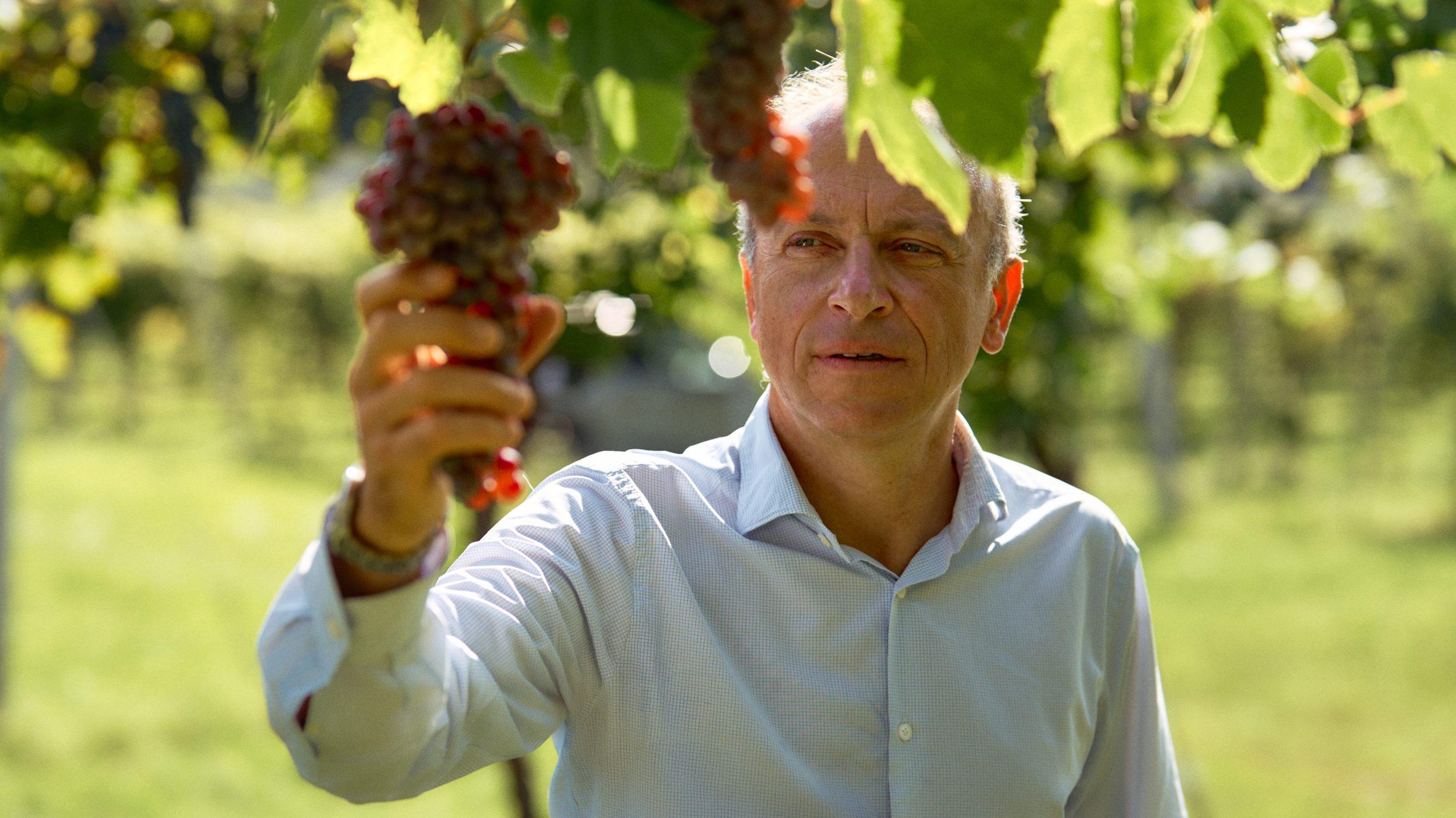 Giuseppe Rizzardi, discendente della famiglia proprietaria del Giardino di Pojega e responsabile della produzione dell’azienda agricola Guerrieri Rizzardi.