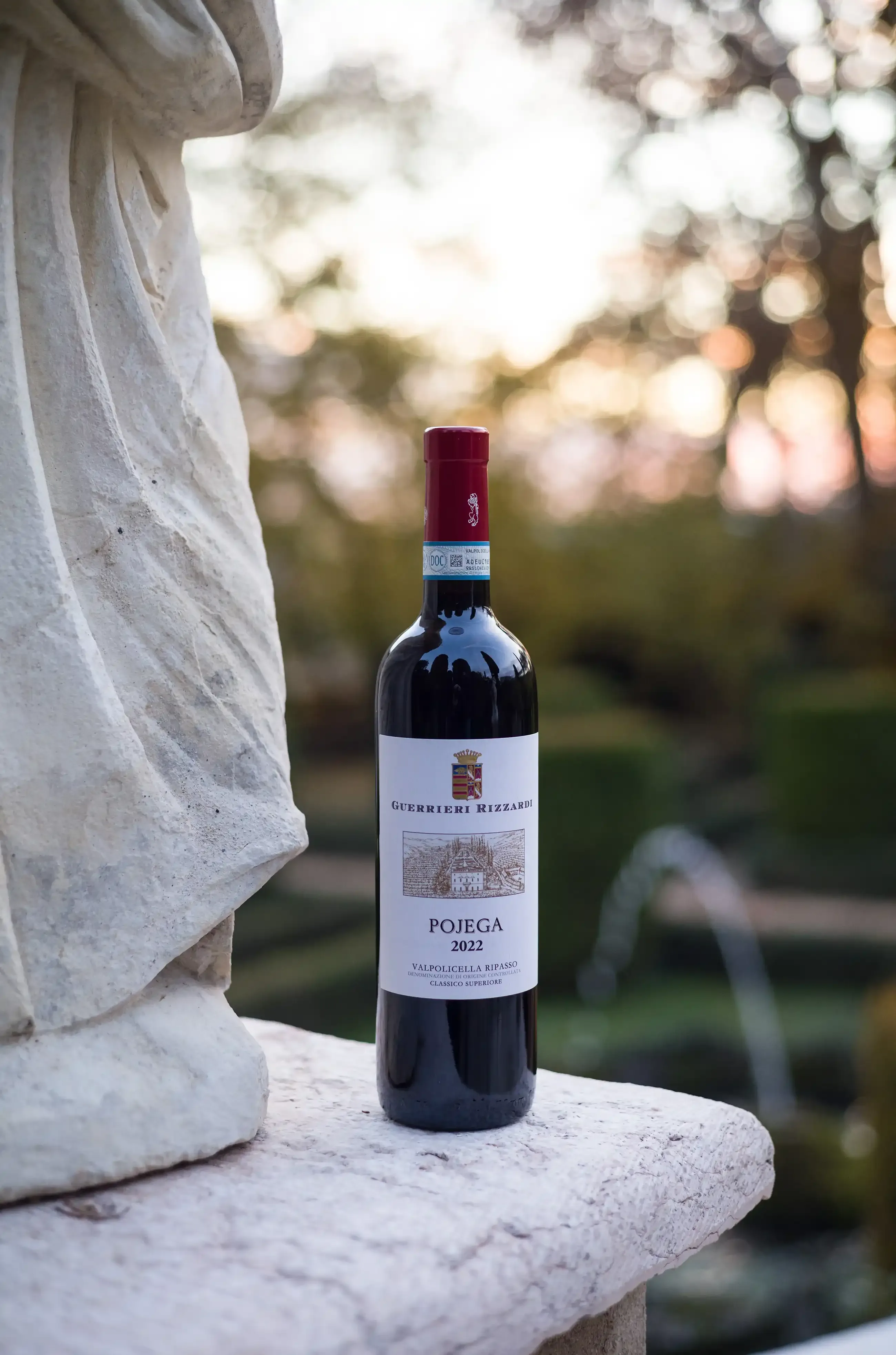 Vino pojega al giardino di pojega con statua