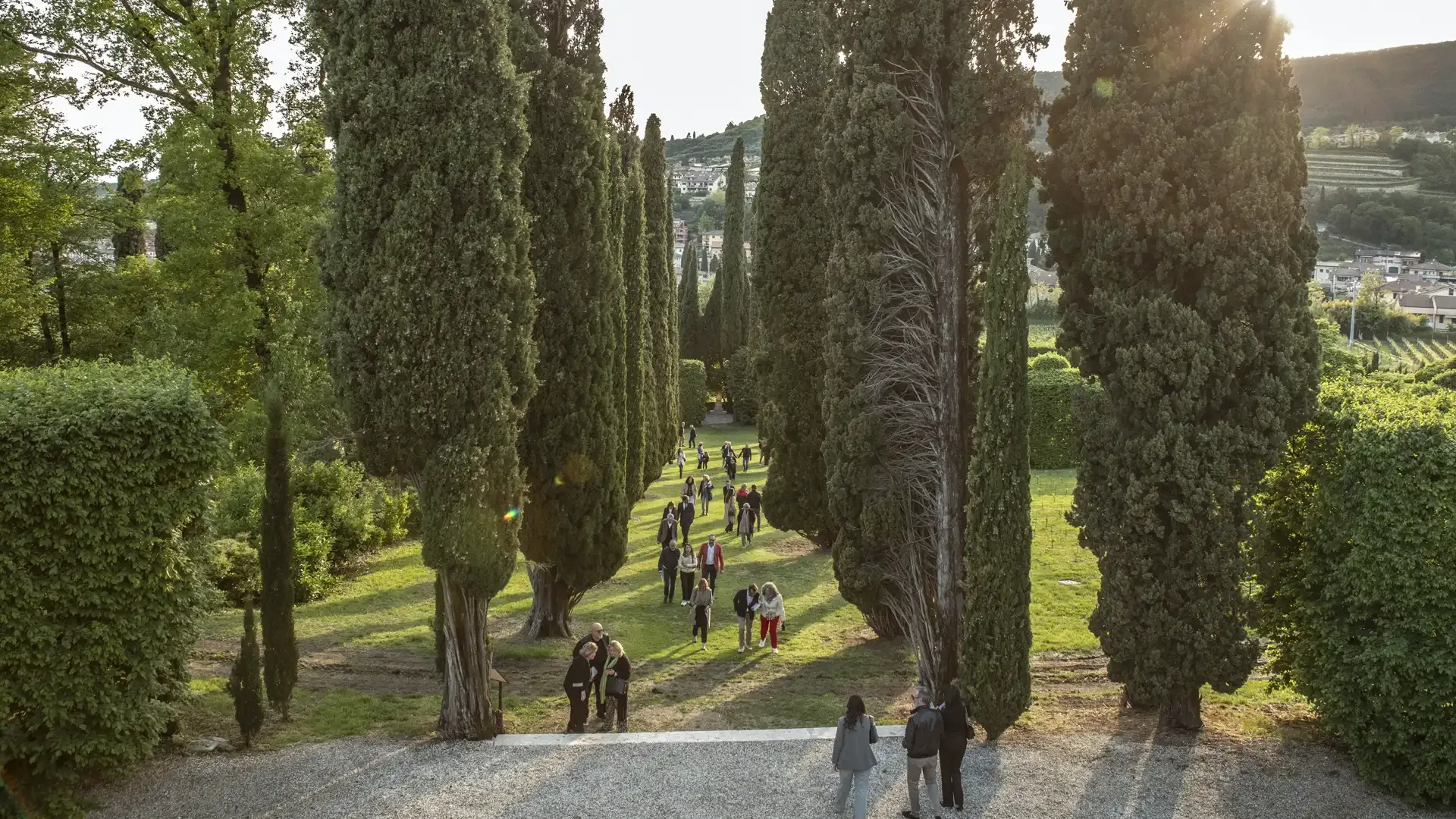 Banner news ed eventi