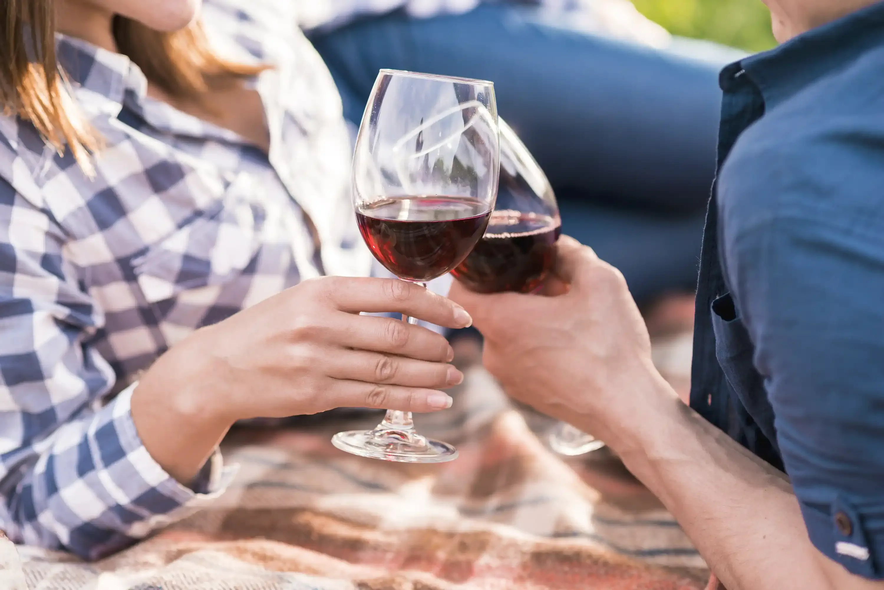 Degustazione picnic giardino di pojega