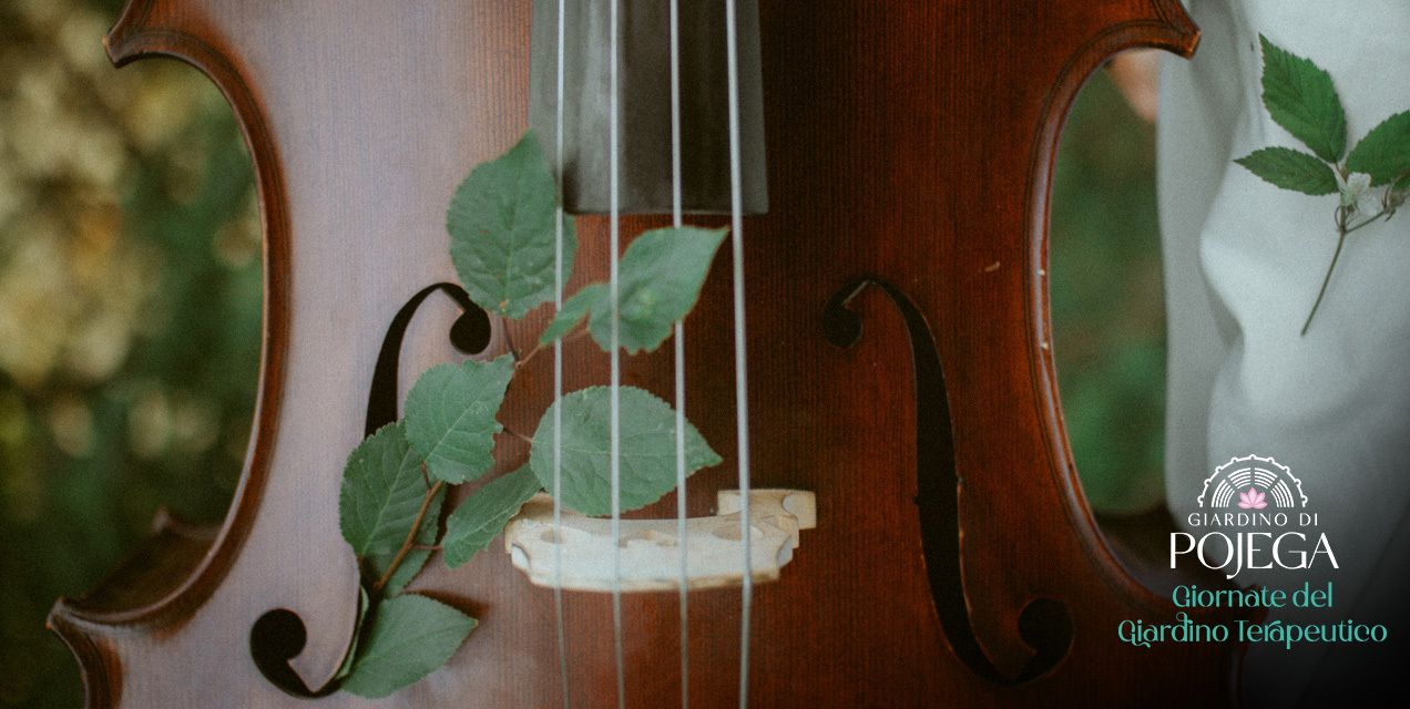 Concerto per violini viole e violoncelli