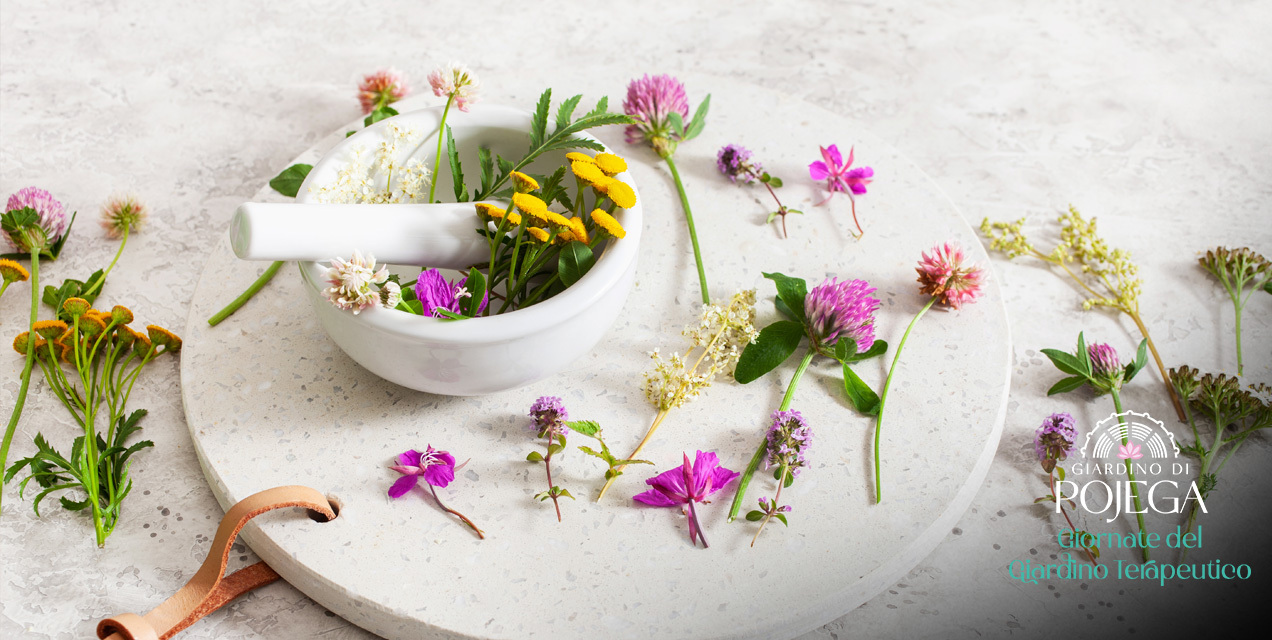 Fitoterapia e Fiori di Bach