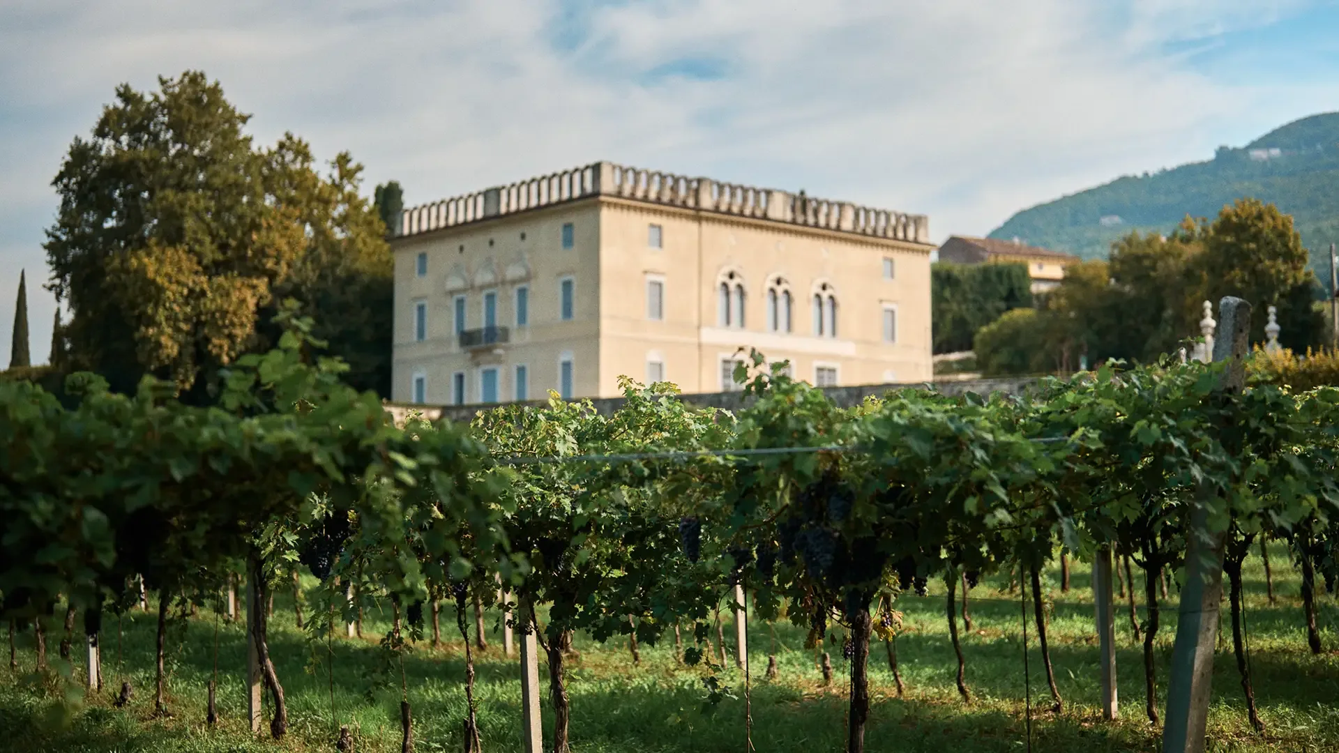 Vigneti guerri rizzardi villa rizzardi