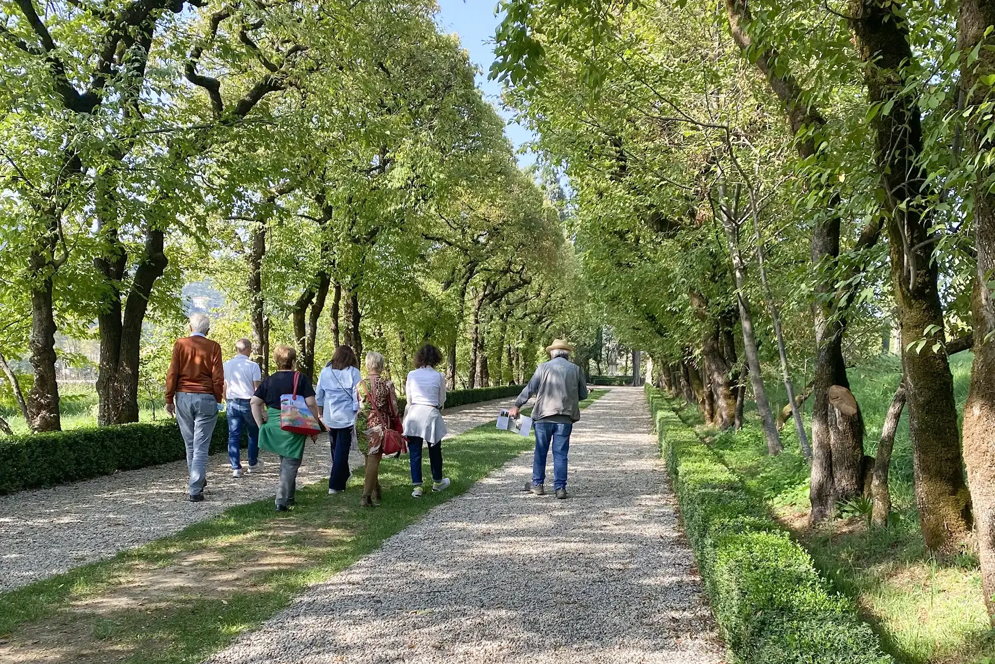 Visite al giardino di Pojega