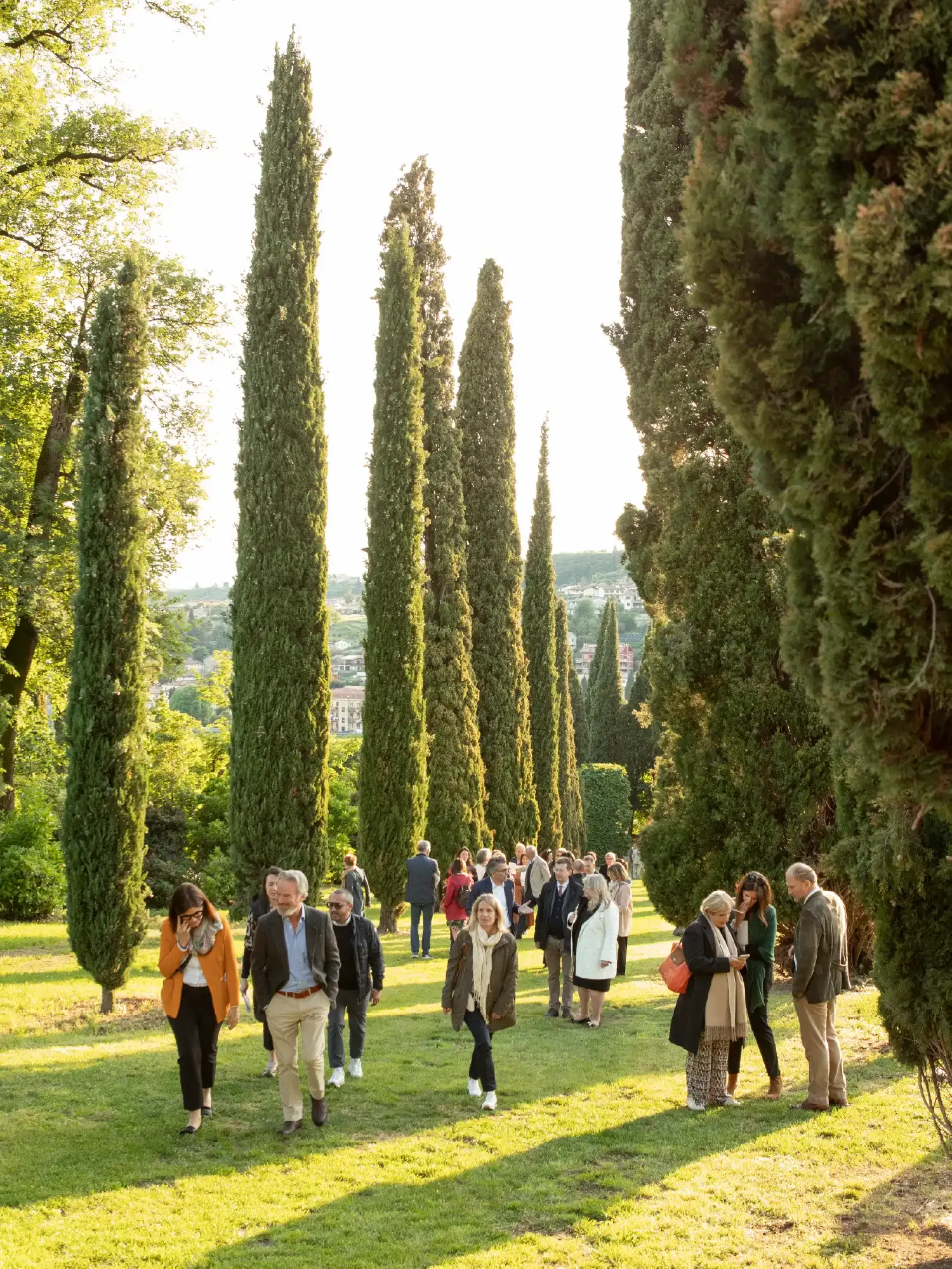 Viale dei cipressi restauro