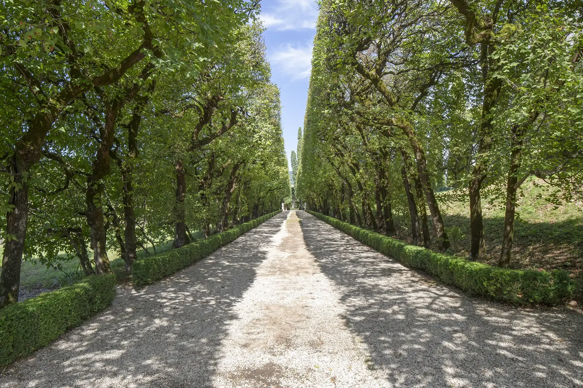 Viale dei carpini 2